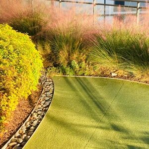 Live photography art artificial Grass Turf courtyard top roof skyline